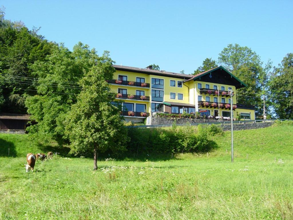 Hotel Zur Schonen Aussicht Уберзее Экстерьер фото